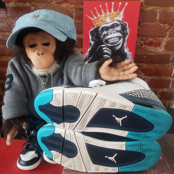 Jordan "Son of Mars" Hornets - Picture 8 of 14